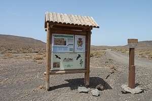 Cuchillos de Vign, Fuerteventura.