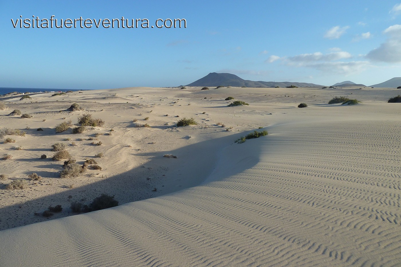 Dunas de Corralejo, Fuerteventura. Parque Natural de Corralejo.