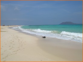 Hoteles en Corralejo, Fuerteventura. www.visitafuerteventura.com