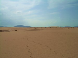 Dunas en Corralejo. Parque Natural de Corralejo.